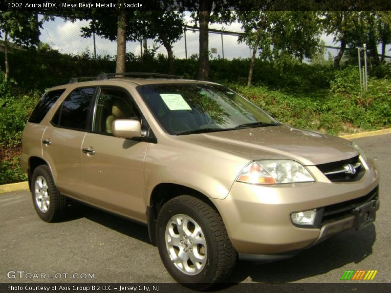 Mesa Beige Metallic / Saddle 2002 Acura MDX