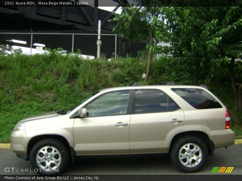 Mesa Beige Metallic / Saddle 2002 Acura MDX