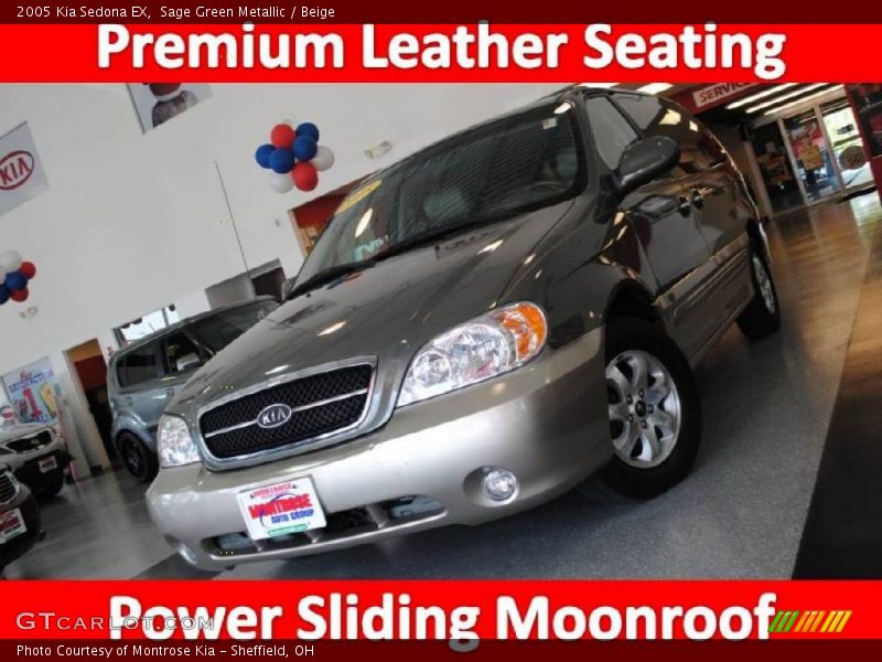 Sage Green Metallic / Beige 2005 Kia Sedona EX