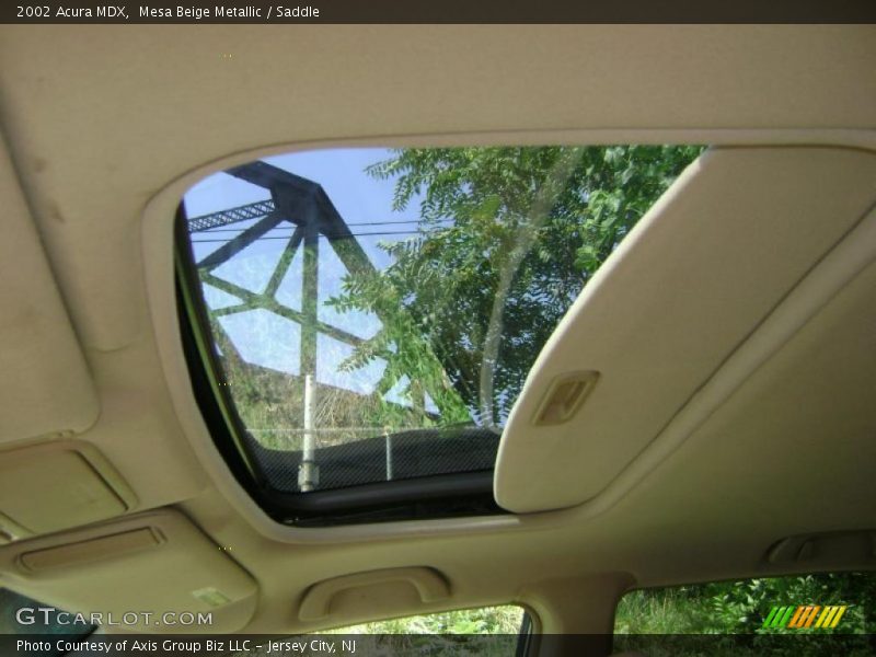 Mesa Beige Metallic / Saddle 2002 Acura MDX