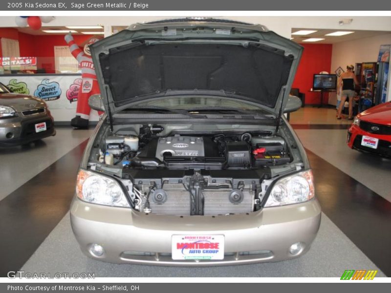 Sage Green Metallic / Beige 2005 Kia Sedona EX
