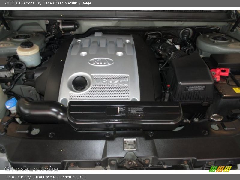 Sage Green Metallic / Beige 2005 Kia Sedona EX