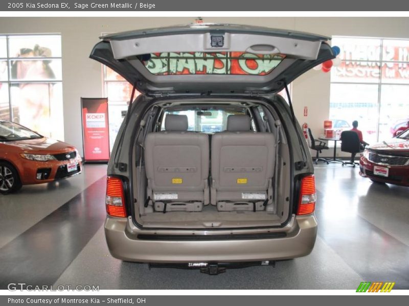 Sage Green Metallic / Beige 2005 Kia Sedona EX