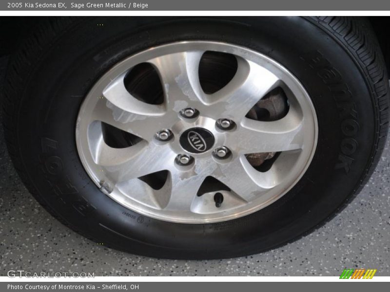 Sage Green Metallic / Beige 2005 Kia Sedona EX