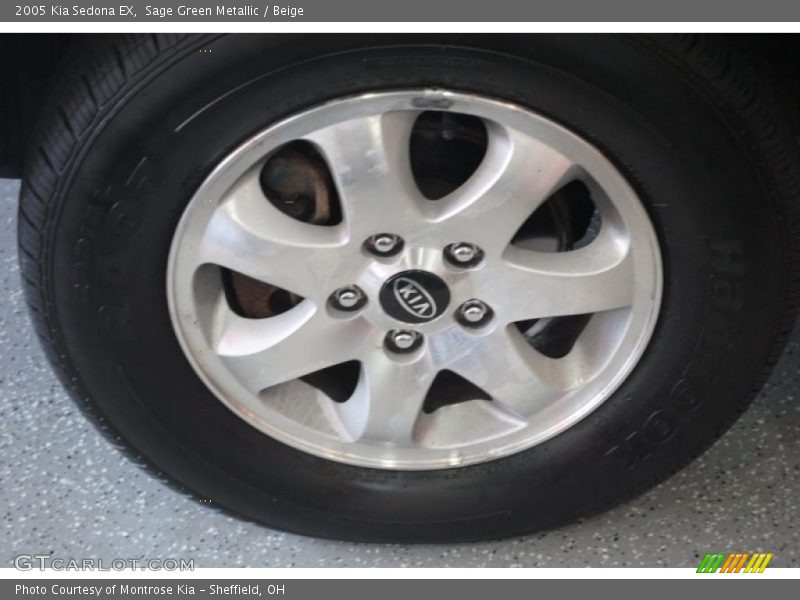 Sage Green Metallic / Beige 2005 Kia Sedona EX