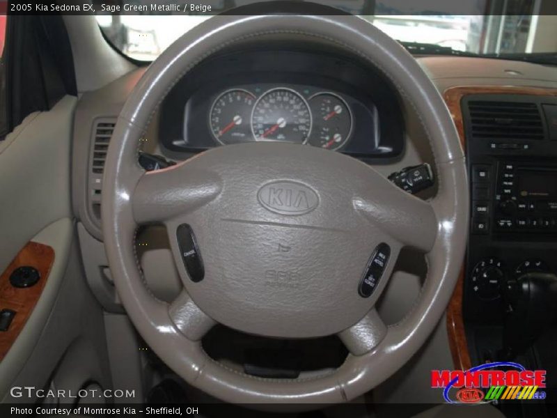 Sage Green Metallic / Beige 2005 Kia Sedona EX