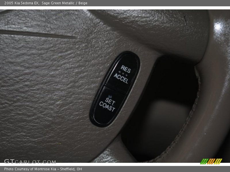 Sage Green Metallic / Beige 2005 Kia Sedona EX