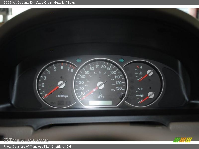 Sage Green Metallic / Beige 2005 Kia Sedona EX