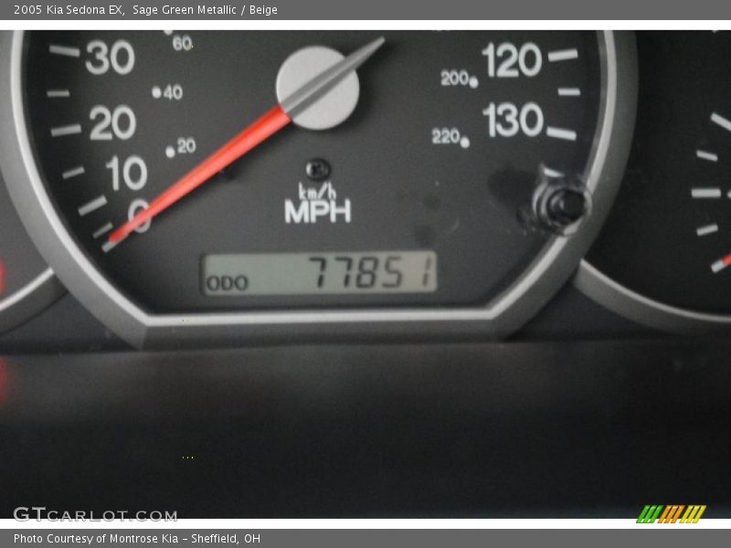 Sage Green Metallic / Beige 2005 Kia Sedona EX
