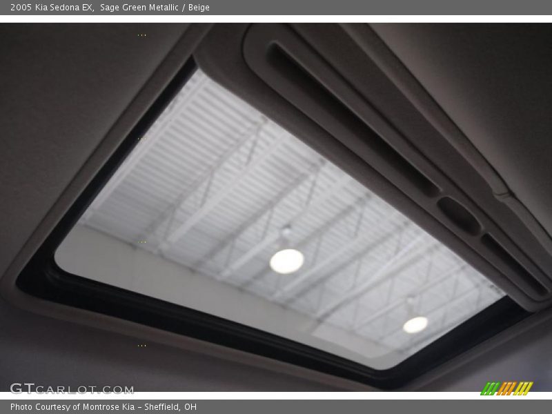 Sage Green Metallic / Beige 2005 Kia Sedona EX