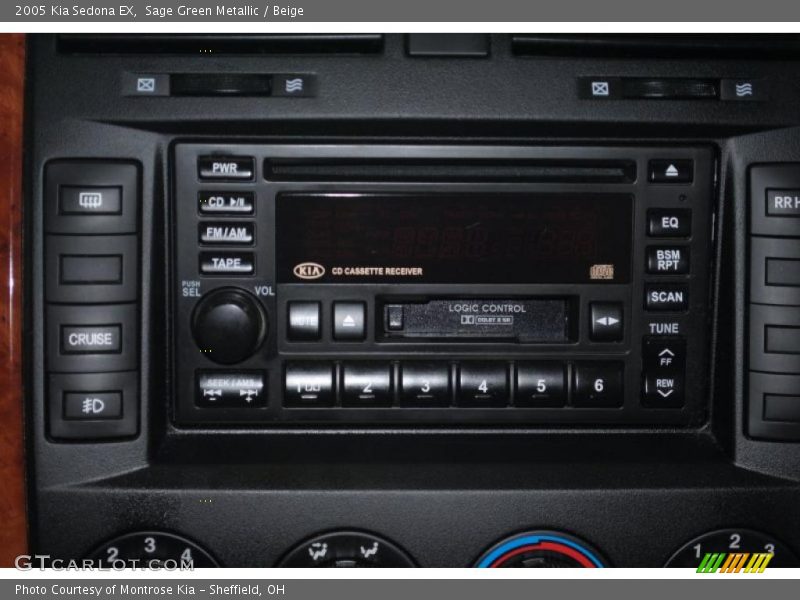 Sage Green Metallic / Beige 2005 Kia Sedona EX