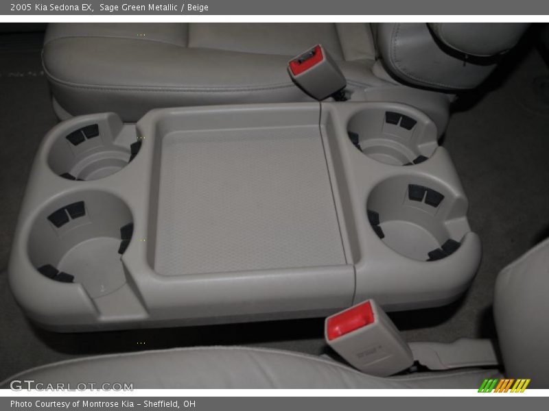 Sage Green Metallic / Beige 2005 Kia Sedona EX