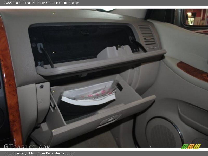 Sage Green Metallic / Beige 2005 Kia Sedona EX