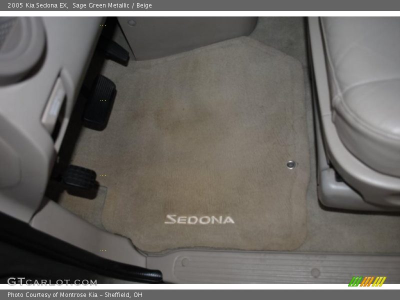 Sage Green Metallic / Beige 2005 Kia Sedona EX