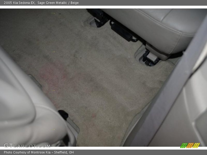 Sage Green Metallic / Beige 2005 Kia Sedona EX
