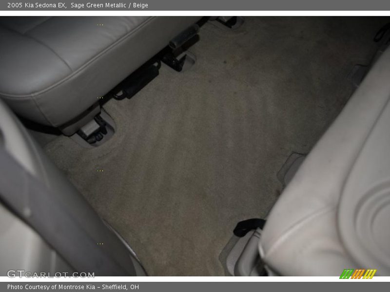 Sage Green Metallic / Beige 2005 Kia Sedona EX
