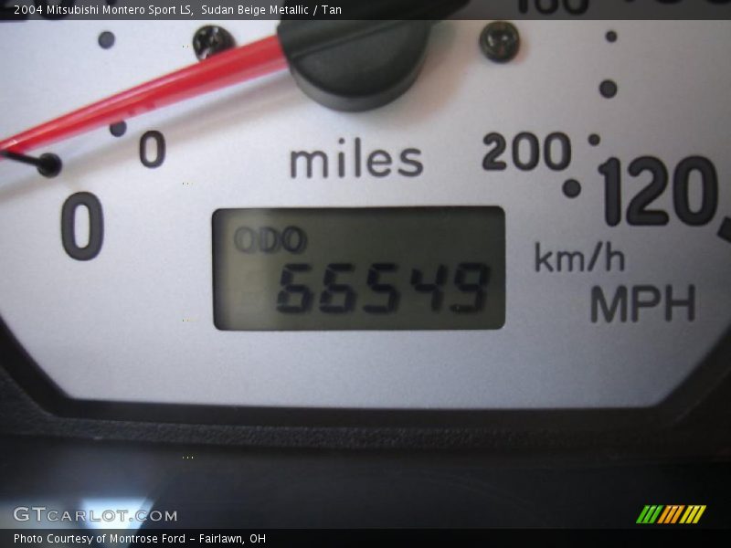 Sudan Beige Metallic / Tan 2004 Mitsubishi Montero Sport LS