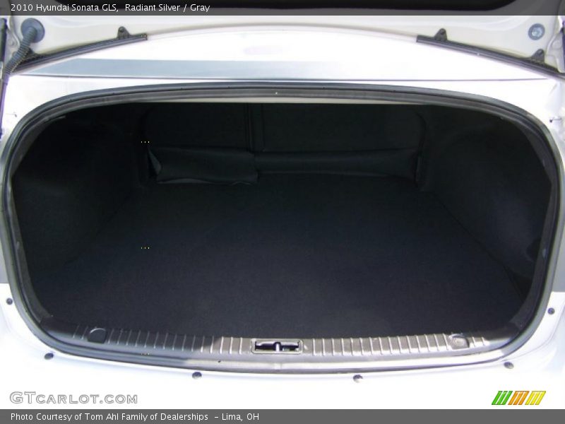 Radiant Silver / Gray 2010 Hyundai Sonata GLS