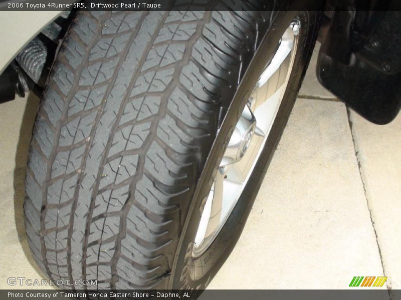 Driftwood Pearl / Taupe 2006 Toyota 4Runner SR5