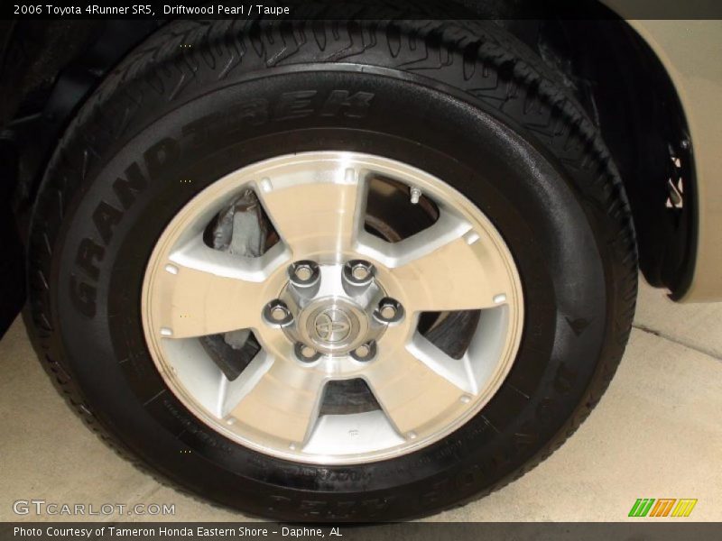 Driftwood Pearl / Taupe 2006 Toyota 4Runner SR5