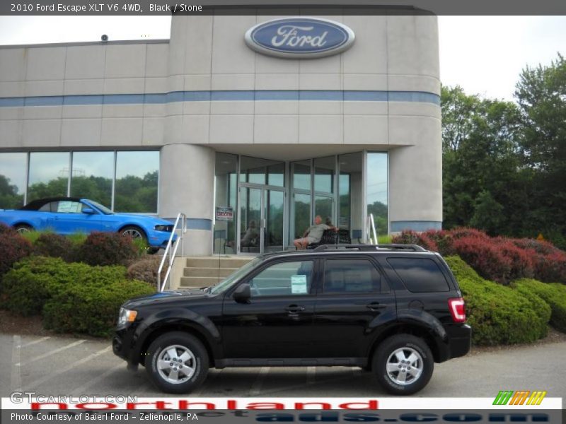 Black / Stone 2010 Ford Escape XLT V6 4WD