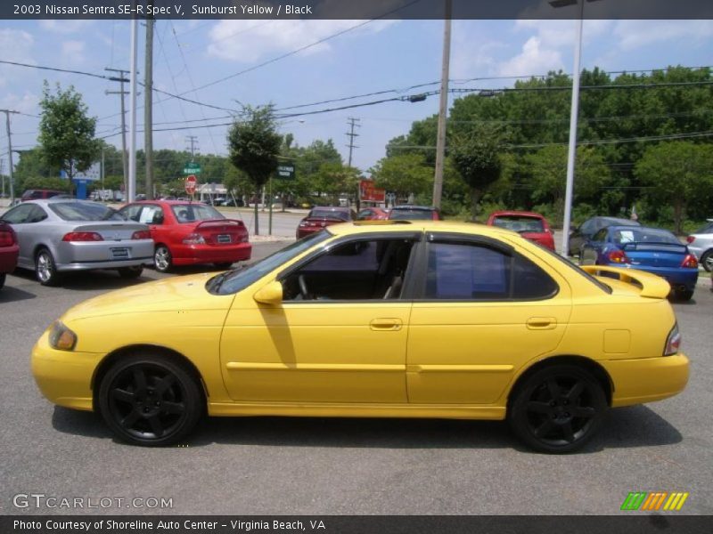 Sunburst Yellow / Black 2003 Nissan Sentra SE-R Spec V