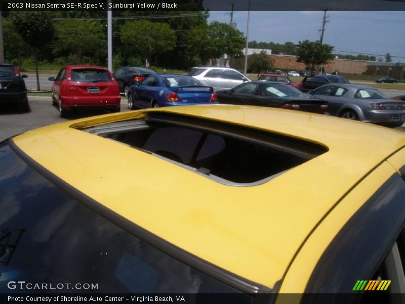Sunburst Yellow / Black 2003 Nissan Sentra SE-R Spec V