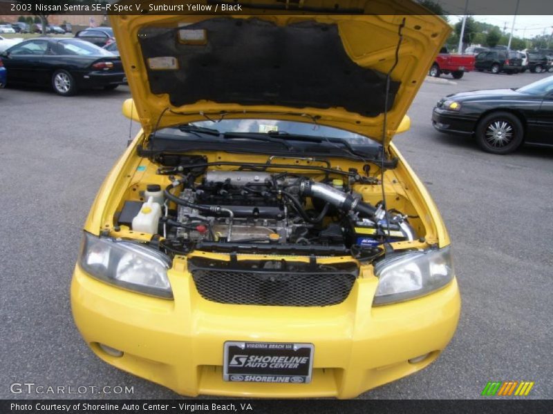 Sunburst Yellow / Black 2003 Nissan Sentra SE-R Spec V