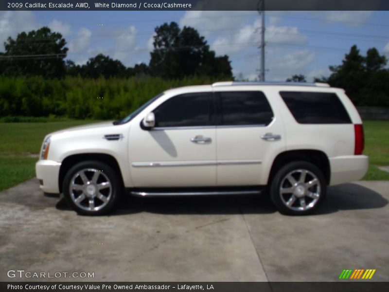 White Diamond / Cocoa/Cashmere 2009 Cadillac Escalade AWD