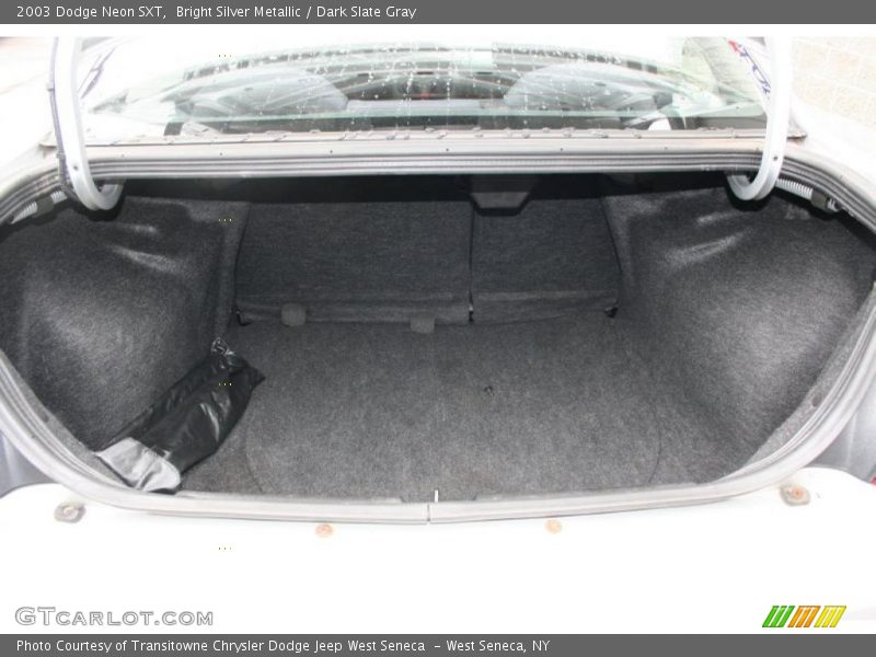 Bright Silver Metallic / Dark Slate Gray 2003 Dodge Neon SXT