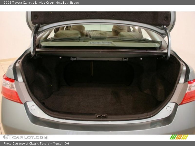 Aloe Green Metallic / Bisque 2008 Toyota Camry LE