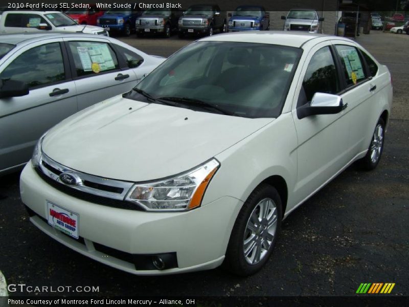 White Suede / Charcoal Black 2010 Ford Focus SEL Sedan