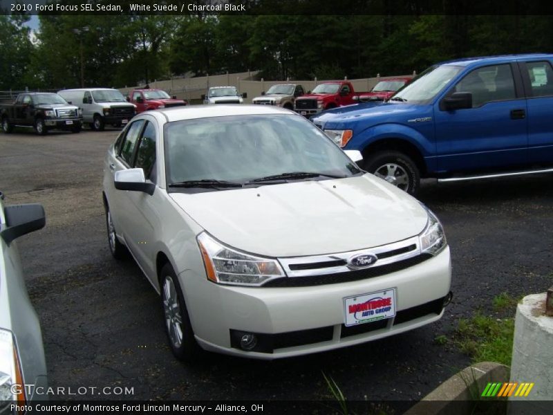 White Suede / Charcoal Black 2010 Ford Focus SEL Sedan