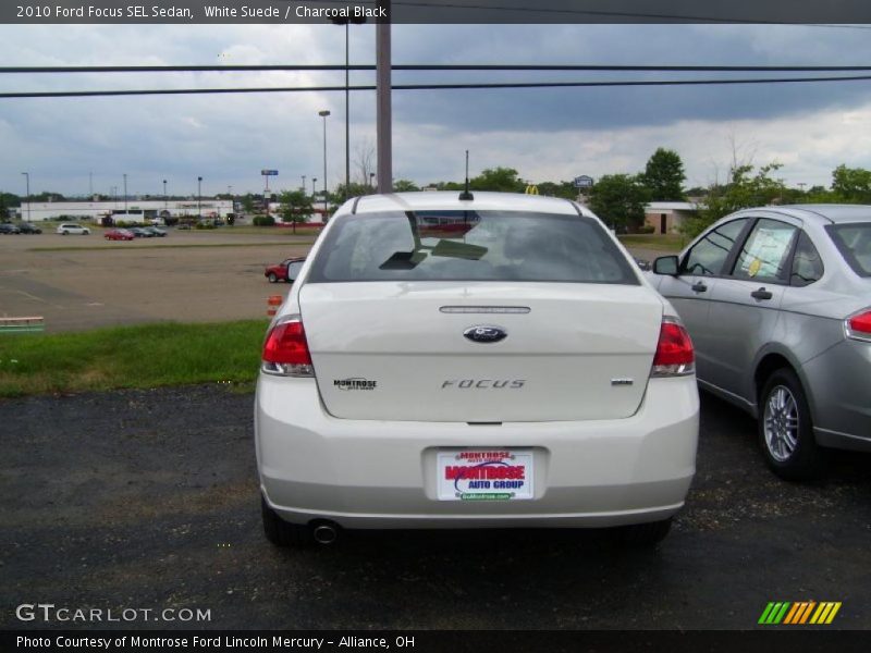 White Suede / Charcoal Black 2010 Ford Focus SEL Sedan