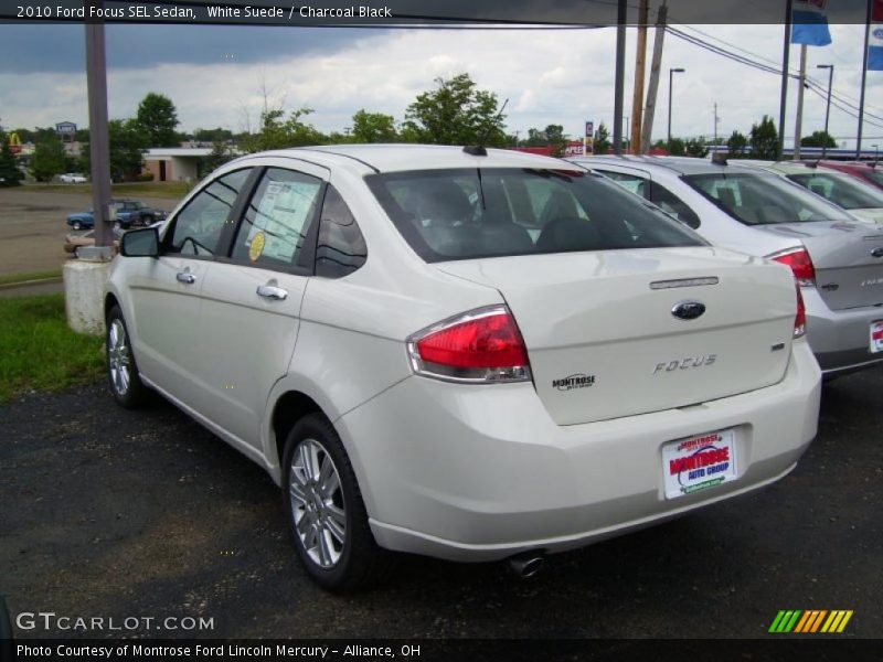 White Suede / Charcoal Black 2010 Ford Focus SEL Sedan