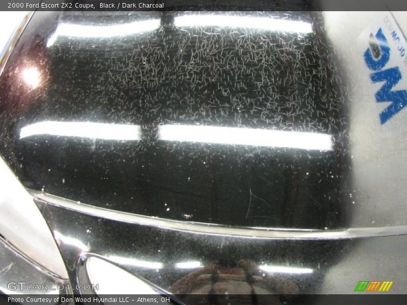 Black / Dark Charcoal 2000 Ford Escort ZX2 Coupe