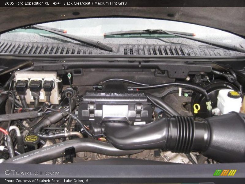 Black Clearcoat / Medium Flint Grey 2005 Ford Expedition XLT 4x4