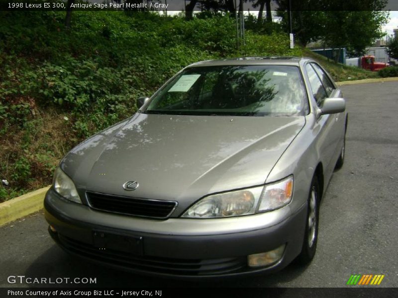 Antique Sage Pearl Metallic / Gray 1998 Lexus ES 300