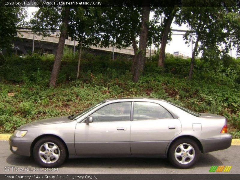 Antique Sage Pearl Metallic / Gray 1998 Lexus ES 300