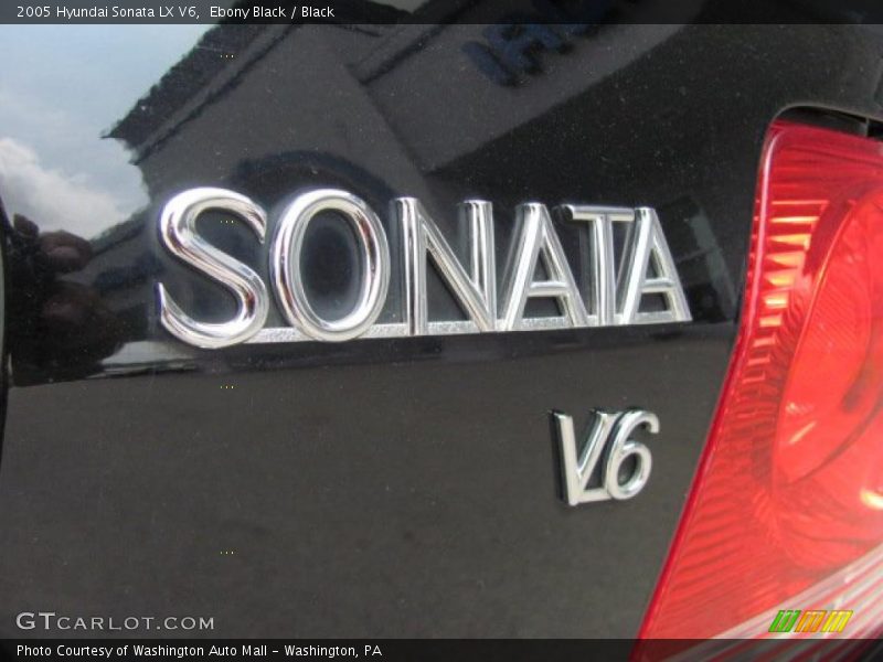Ebony Black / Black 2005 Hyundai Sonata LX V6