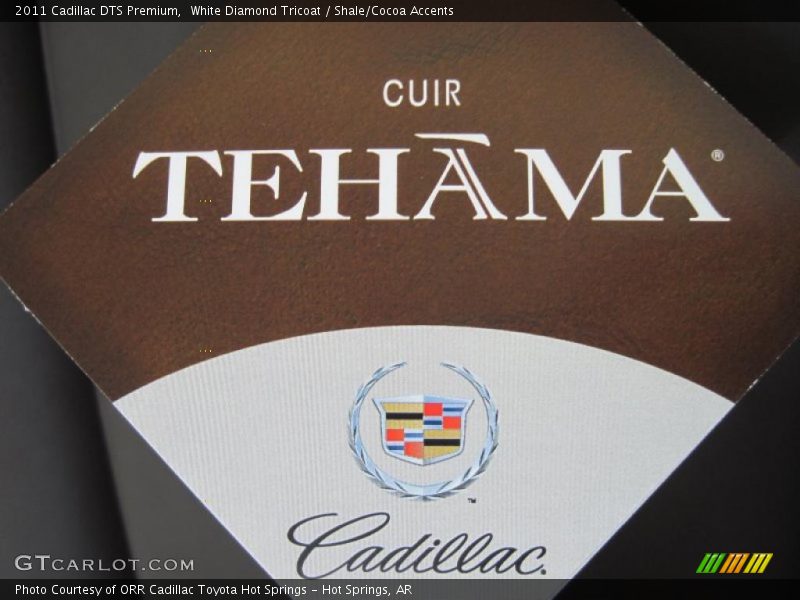 White Diamond Tricoat / Shale/Cocoa Accents 2011 Cadillac DTS Premium