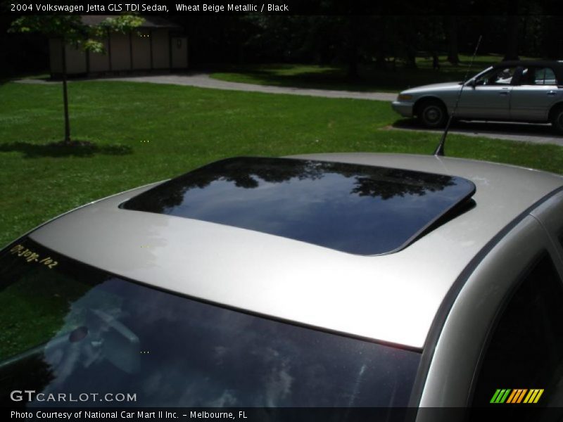 Wheat Beige Metallic / Black 2004 Volkswagen Jetta GLS TDI Sedan