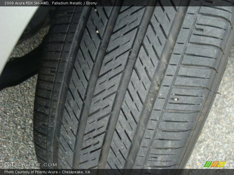 Palladium Metallic / Ebony 2009 Acura RDX SH-AWD