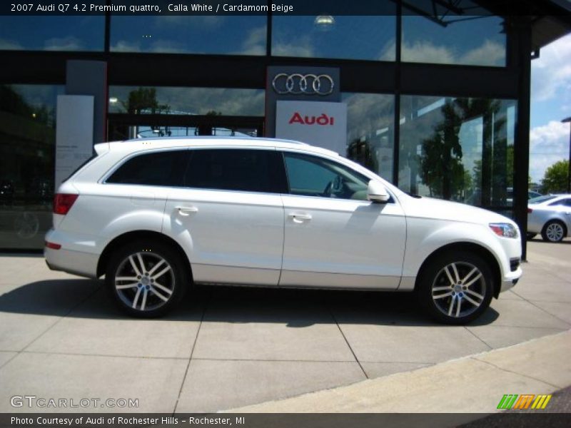 Calla White / Cardamom Beige 2007 Audi Q7 4.2 Premium quattro