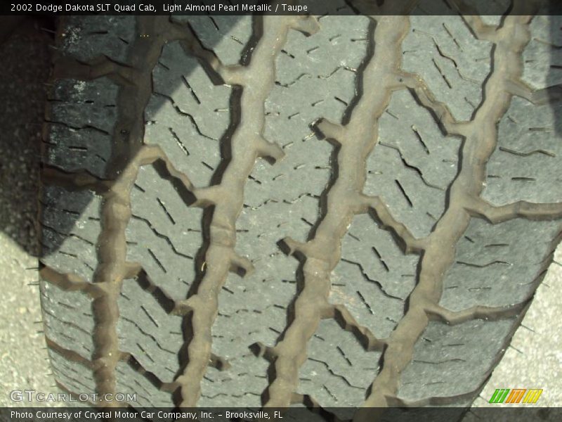 Light Almond Pearl Metallic / Taupe 2002 Dodge Dakota SLT Quad Cab