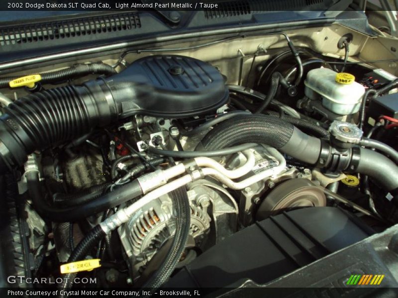 Light Almond Pearl Metallic / Taupe 2002 Dodge Dakota SLT Quad Cab