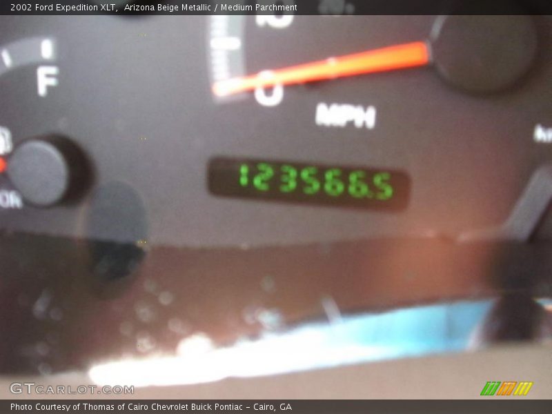 Arizona Beige Metallic / Medium Parchment 2002 Ford Expedition XLT