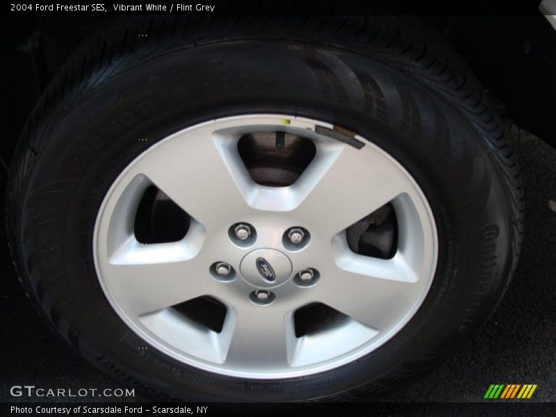 Vibrant White / Flint Grey 2004 Ford Freestar SES