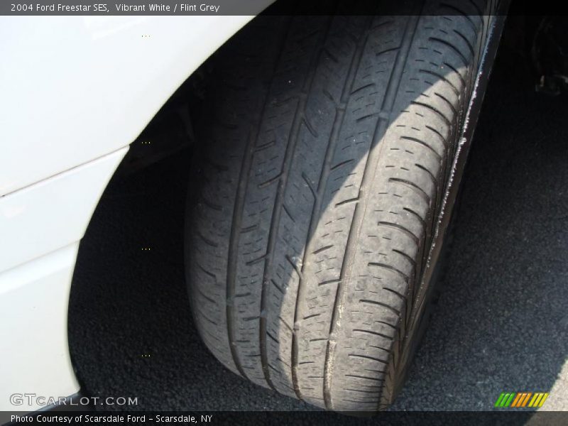 Vibrant White / Flint Grey 2004 Ford Freestar SES