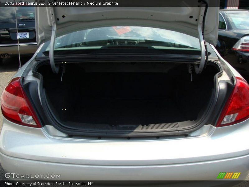 Silver Frost Metallic / Medium Graphite 2003 Ford Taurus SES